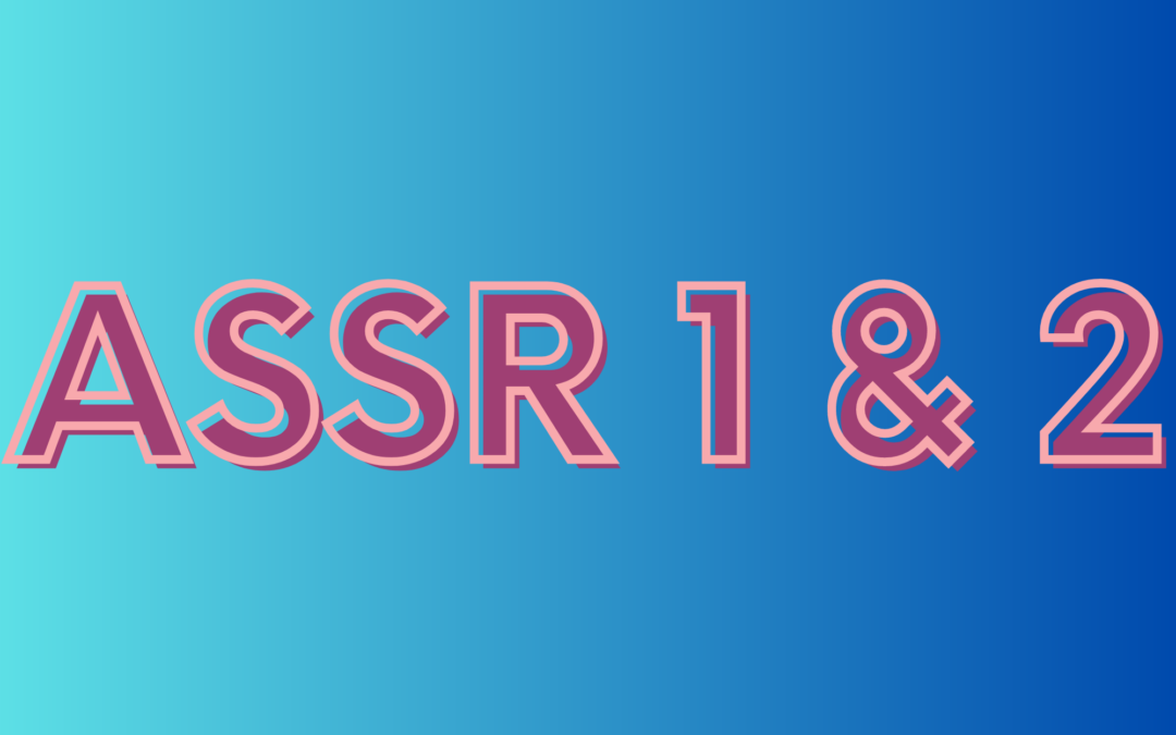 ASSR 2023
